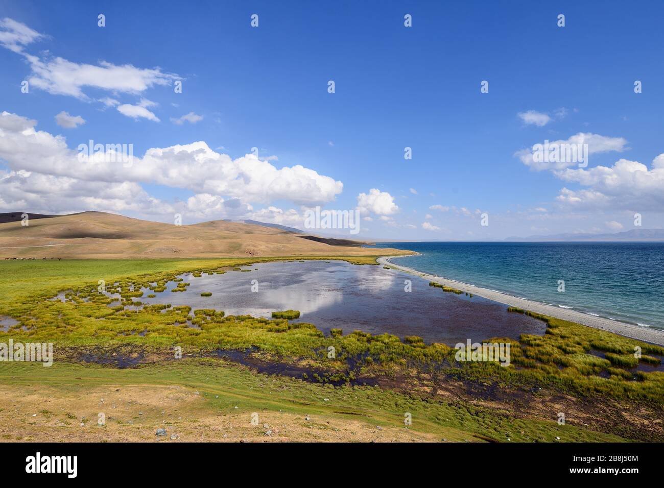 Le lac Magic alpin Song Kul se trouve à 3016 m d'altitude au Kirghizstan. Lakesides sont un lieu de pastage des chevaux par les habitants du Kirghizstan Banque D'Images Le lac Magic alpin Song Kul se trouve à 3016 m d'altitude au Kirghizstan. Lakesides sont un lieu de pastage des chevaux par les habitants du Kirghizstan Banque D'Images