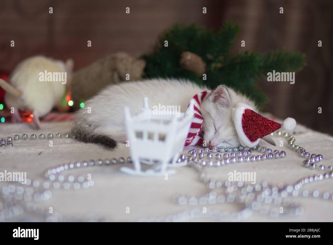 Le chaton dort dans un chapeau de père noël à côté du berceau Banque D'Images