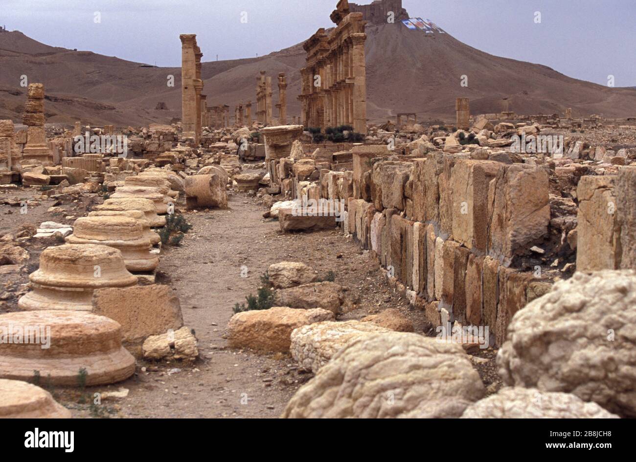 Grande Colonnade. Palmyra. Syrie Banque D'Images