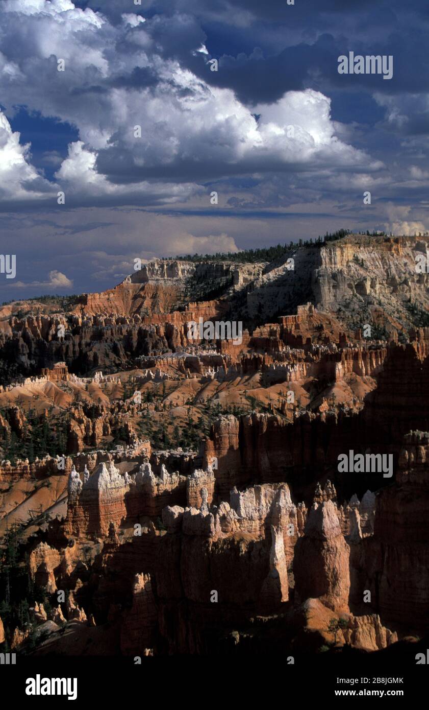 Parc national de Bryce Canyon. Utah. Érosion de la rivière et des roches sédimentaires de lit de lac, États-Unis Banque D'Images