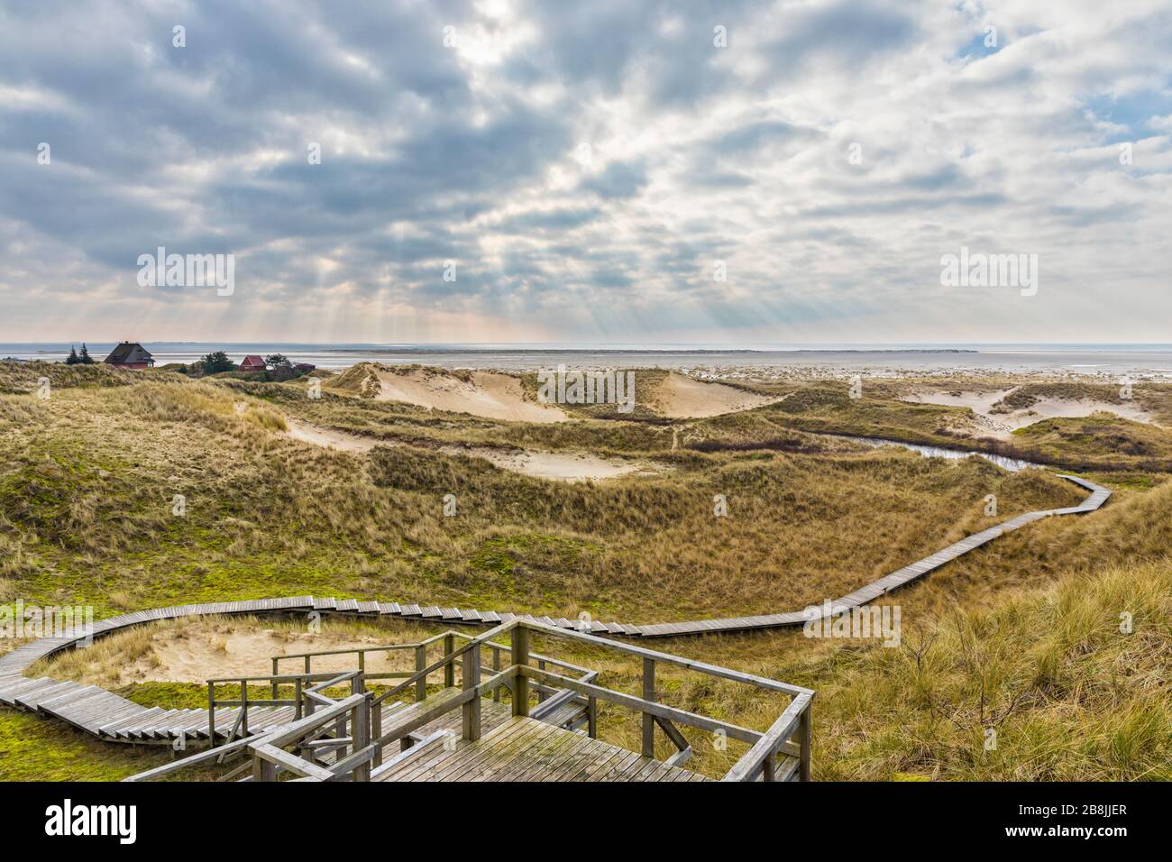 Escalier en bois et sentier menant à la plage à travers les dunes de l'île allemande de la mer du Nord Amrum près du village de Wittdün Banque D'Images
