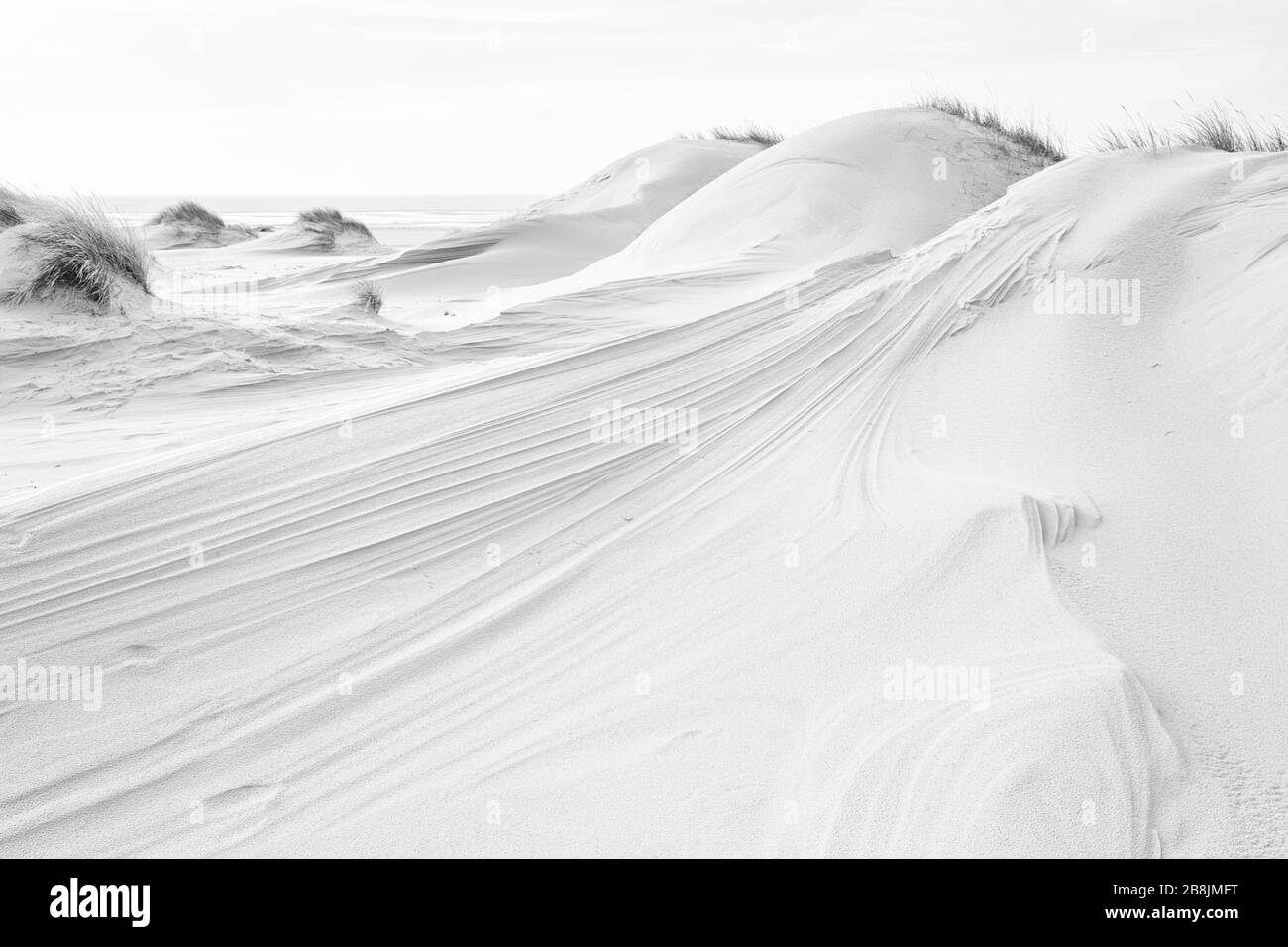 Dunes de sable à la plage de la mer du Nord d'Amrum sculptées par le vent, noir et blanc processing Banque D'Images