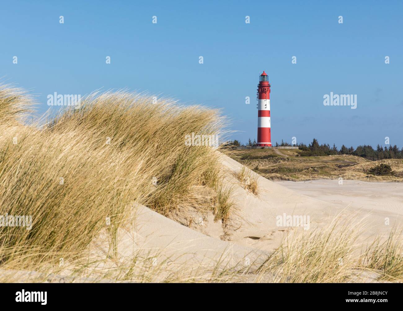 Phare d'Amrum, vue de la plage avec de l'herbe de dune en premier plan Banque D'Images