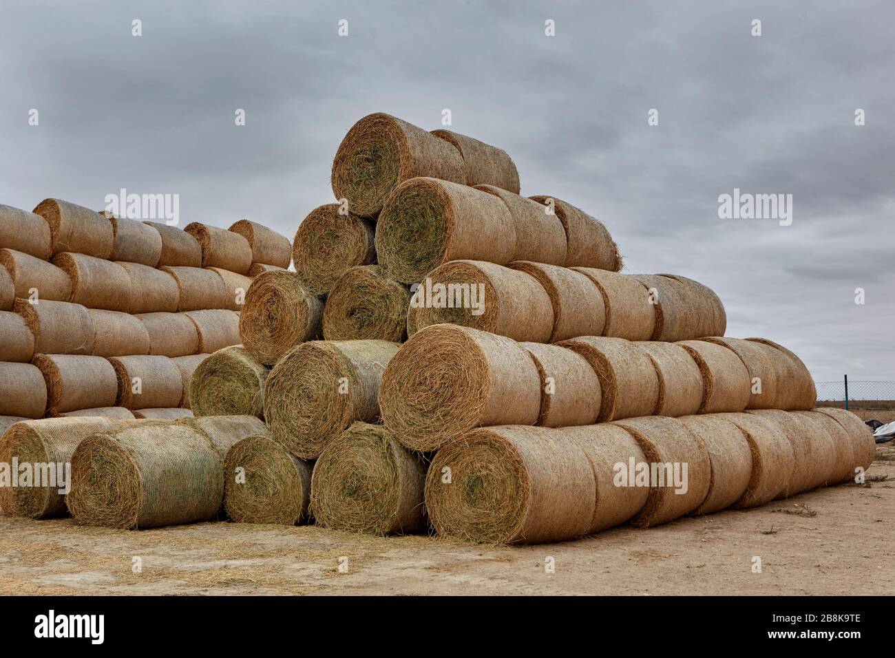 balles de foin dans la ferme Banque D'Images