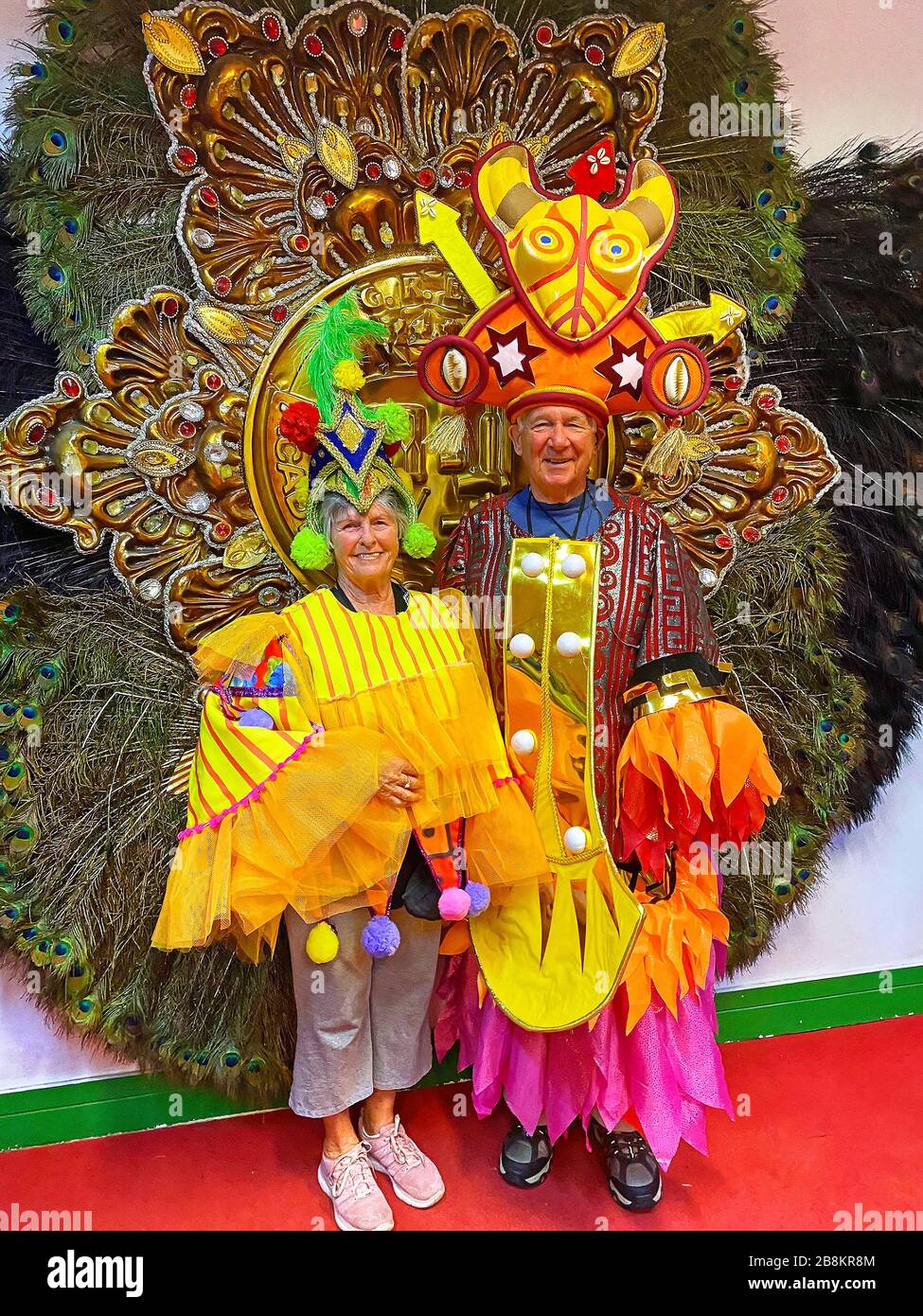 Couple en costume de Carnaval, femme, homme, coloré, décoratif, festif, orné, touristes, amusement, expérience, école de samba, fond de paon, Rio de Jan Banque D'Images