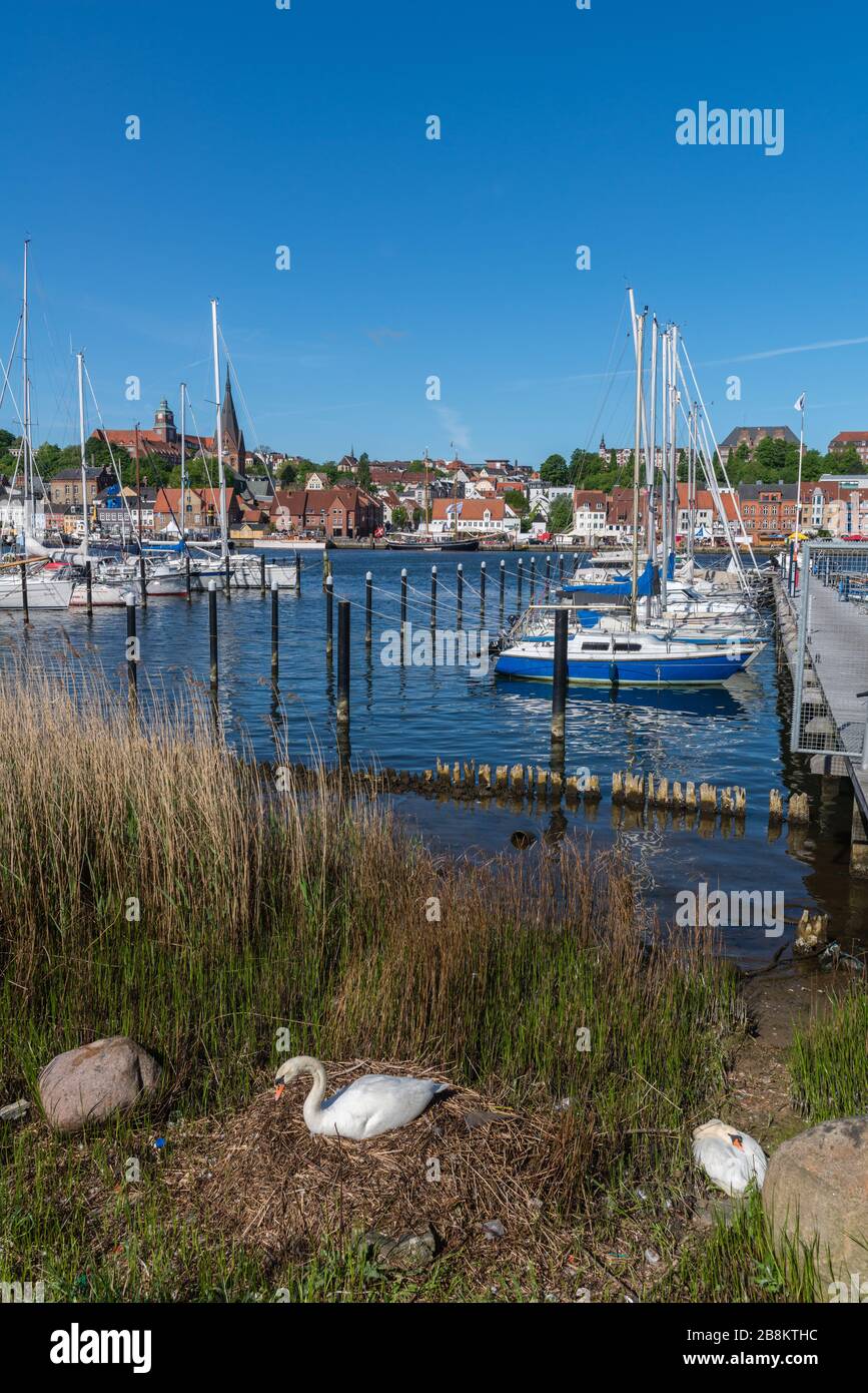 Ville de Flensburg sur le fjord de Flenburg, ville frontalière du Danemark, Schleswig-Holstein, Allemagne du Nord, Europe centrale, Banque D'Images