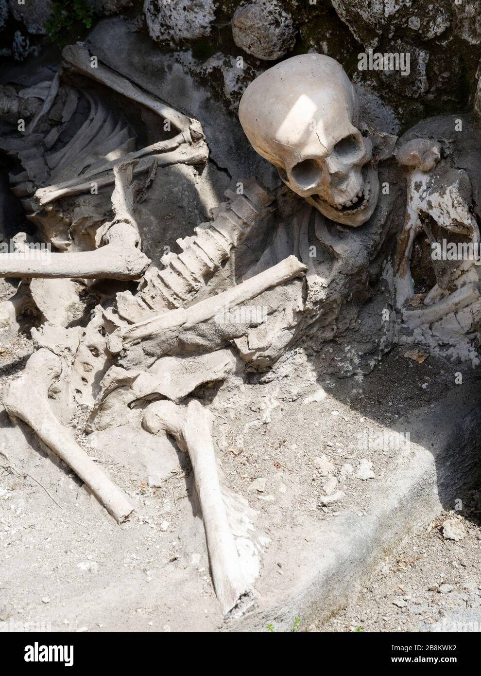 Restes squelettiques des victimes de l'éruption du Vésuve AD 79, Herculaneum, Campanie, Italie. Banque D'Images