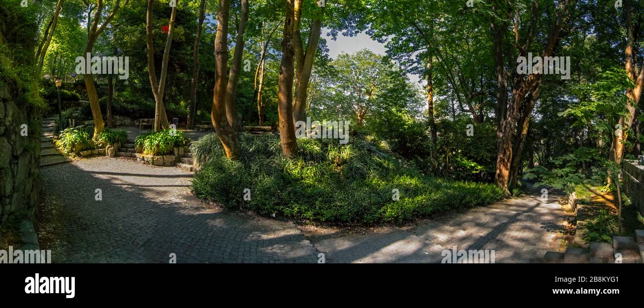 Le Crystal Palace avec ses beaux jardins est un agréable espace vert situé dans la ville de Porto, au Portugal. Banque D'Images