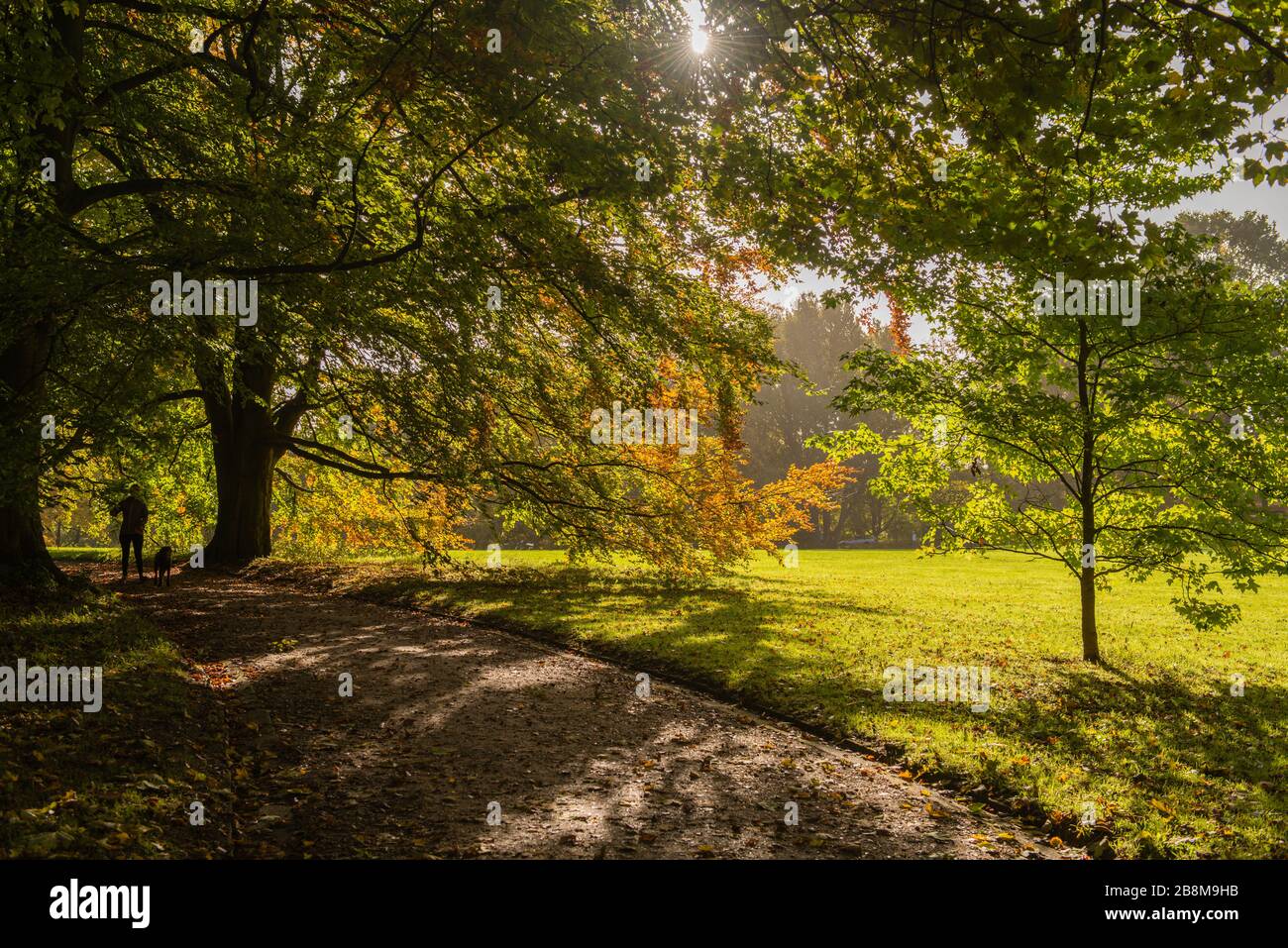 Feuillage d'automne dans le parc Forstbaumschule, Kiel, capitale du Schleswig-Holstein, Allemagne du Nord, Europe centrale Banque D'Images