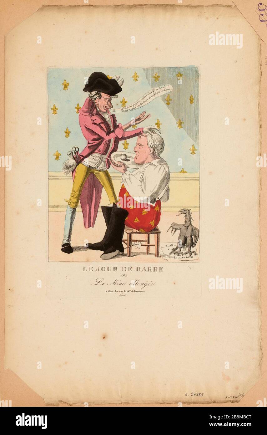 La barbe de la journée (TI) Banque D'Images