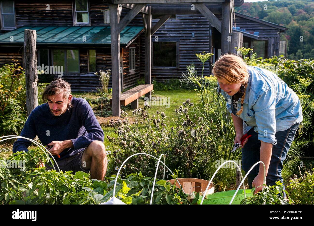 Stagiaires d'école agricole Banque D'Images