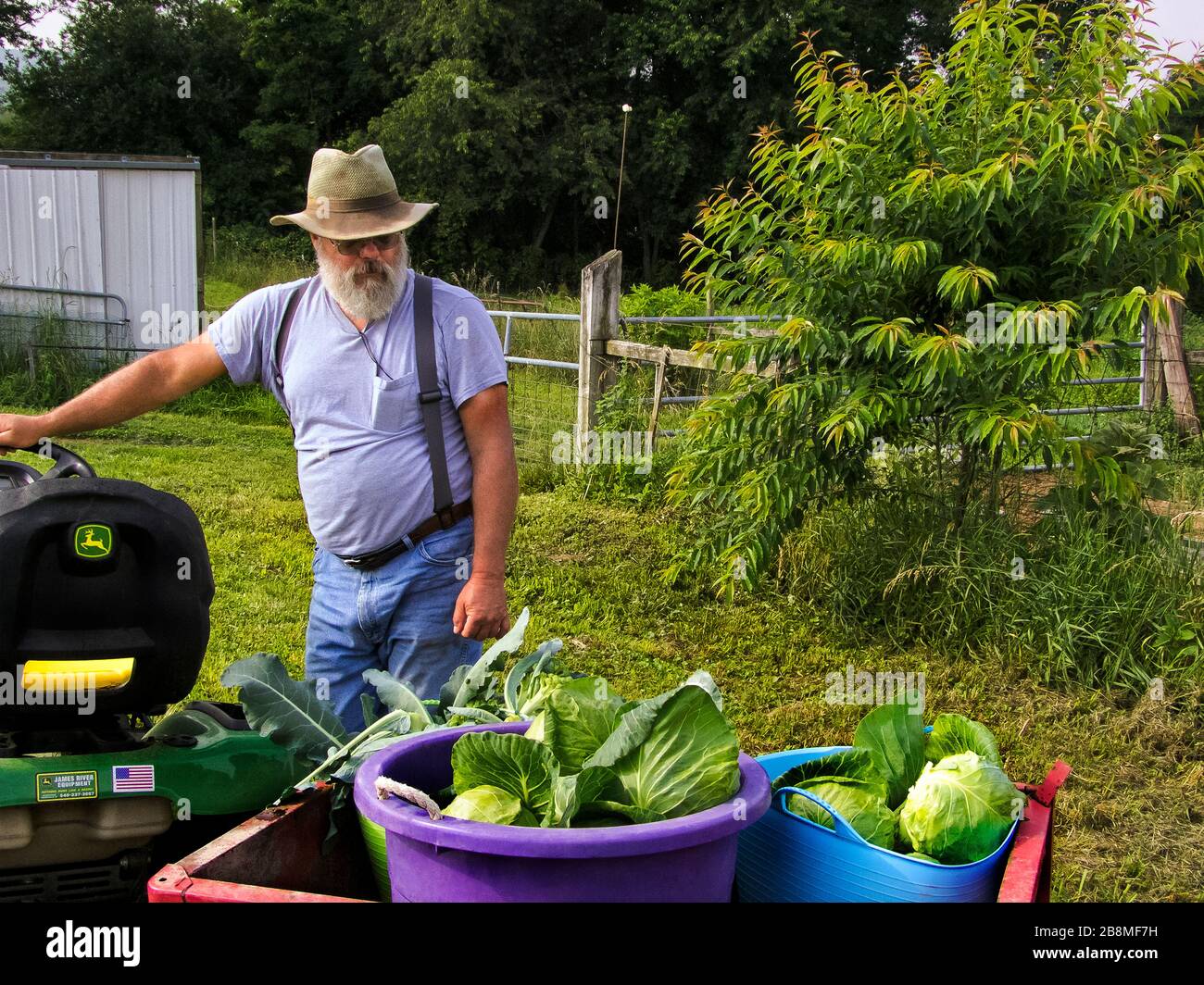 Agriculteur d'âge moyen Banque D'Images