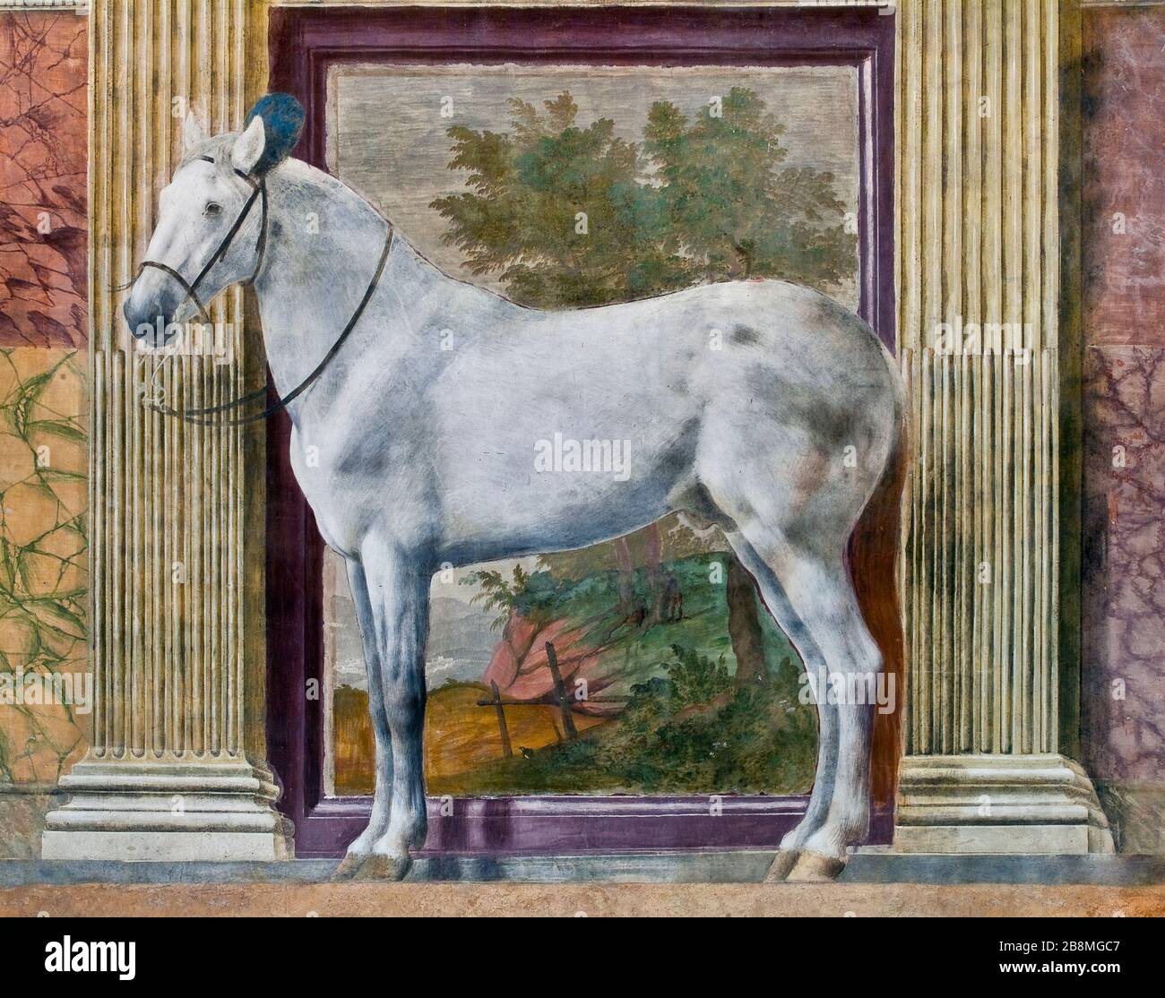 L'un des steeds préférés de Gonzaga. Fresque grandeur nature dans la Chambre des chevaux (XVIe siècle) à l'intérieur du Palazzo te, Mantua, Lombardie, Italie. Banque D'Images