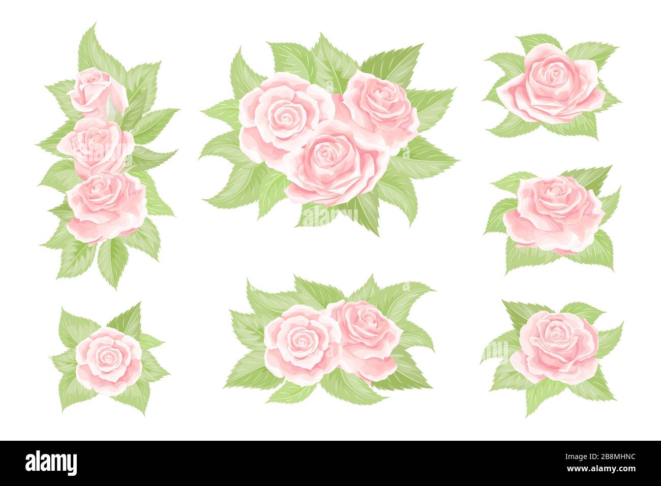 Bouquets de fleurs roses crème avec feuilles vertes isolées Illustration de Vecteur