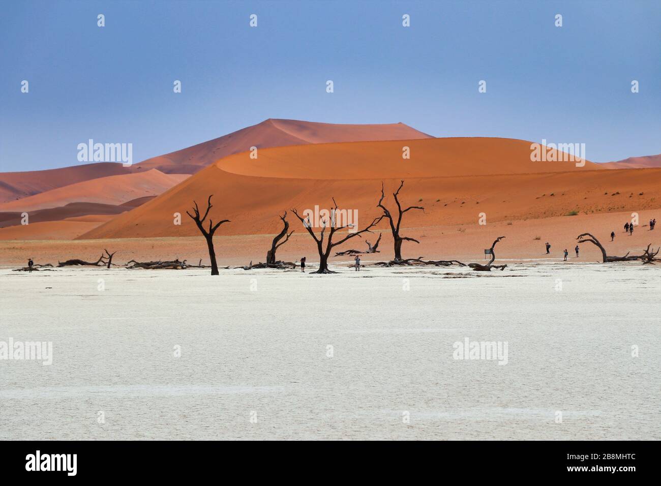 Dead Vlei (Namib-Naukluft Park) - Namibie Afrique Banque D'Images