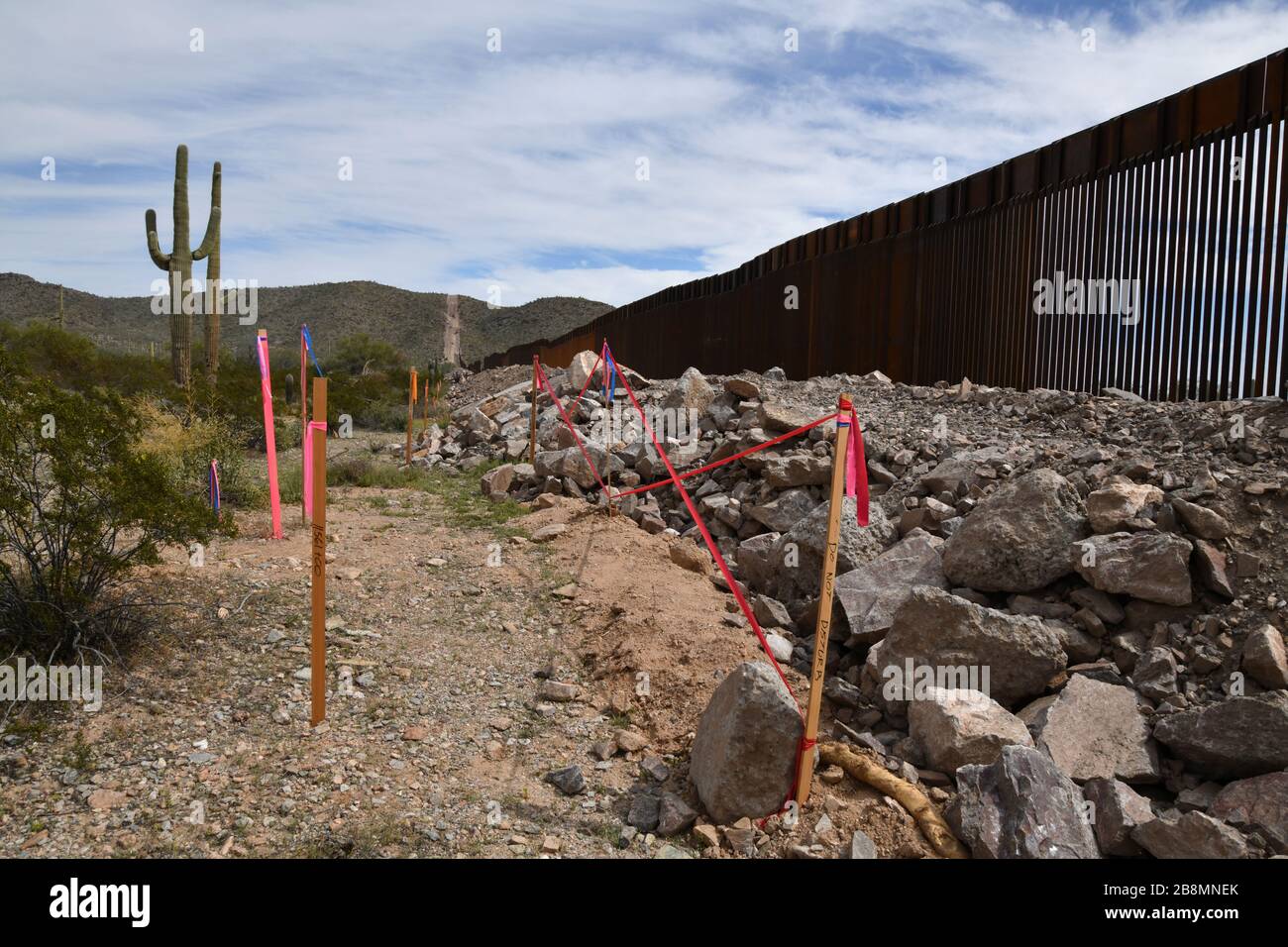 La construction d'un mur de bordure métallique dans le monument national de Cactus, dans le désert de Sonoran, à Luqueville, Arizona, aux États-Unis, sépare les États-Unis de Sonoyta Banque D'Images