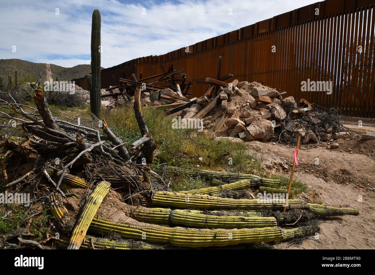 La construction d'un mur de bordure métallique dans le monument national de Cactus, dans le désert de Sonoran, à Luqueville, Arizona, aux États-Unis, sépare les États-Unis de Sonoyta Banque D'Images