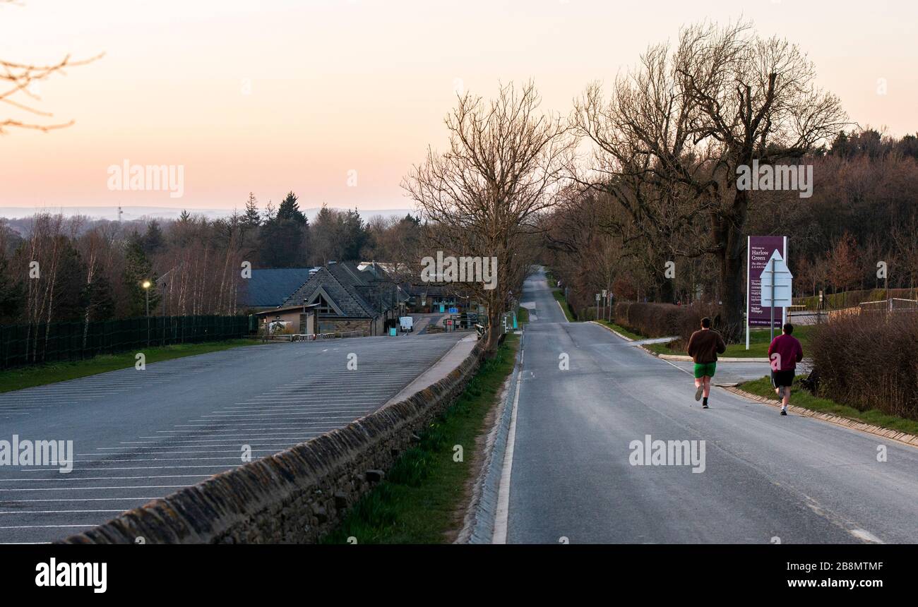 Harrogate, Yorkshire du Nord, Royaume-Uni, 22 mars 2020. RHS Gardens Harlow Carr a dû être fermé hier car le grand nombre de visiteurs signifiait qu'il était impossible de garantir la distanciation sociale. Crédit: Ernesto Rogata/Alay Live News. Banque D'Images