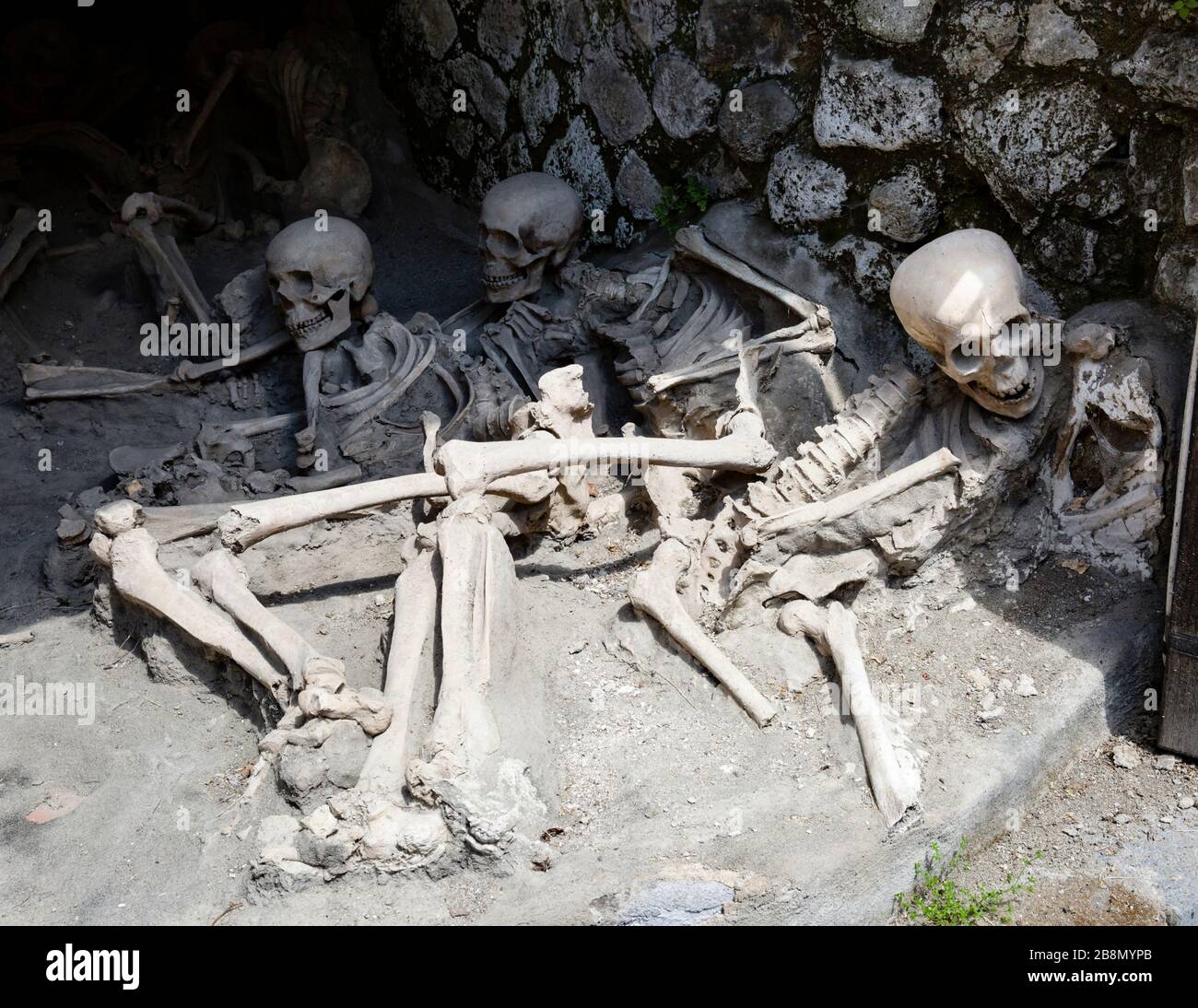 Restes squelettiques des victimes de l'éruption du Vésuve AD 79, Herculaneum, Campanie, Italie. Banque D'Images