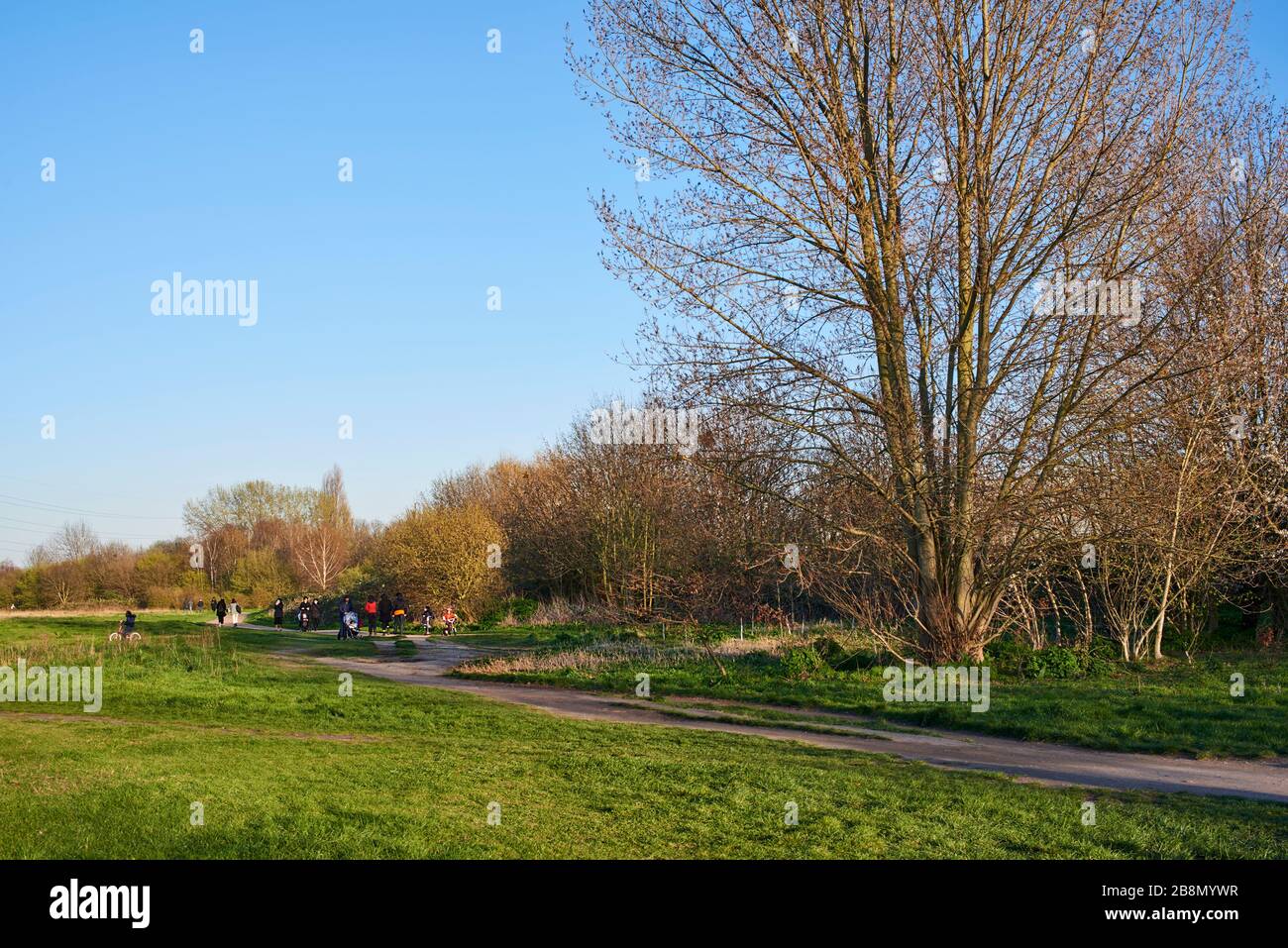 Sentier pédestre à travers Walthamstow Marshes, nord de Londres, Royaume-Uni, au printemps Banque D'Images