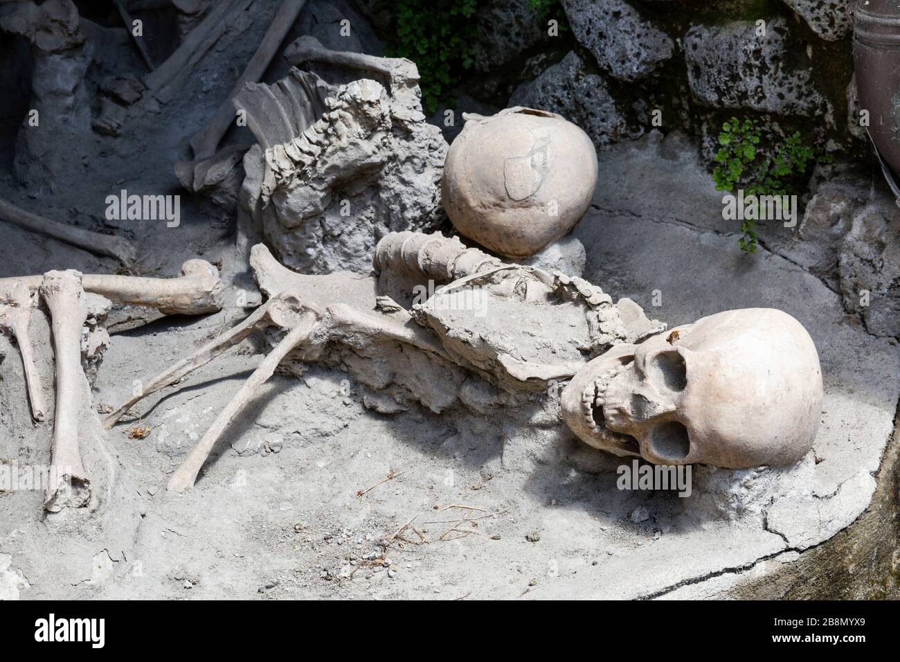 Restes squelettiques des victimes de l'éruption du Vésuve AD 79, Herculaneum, Campanie, Italie. Banque D'Images