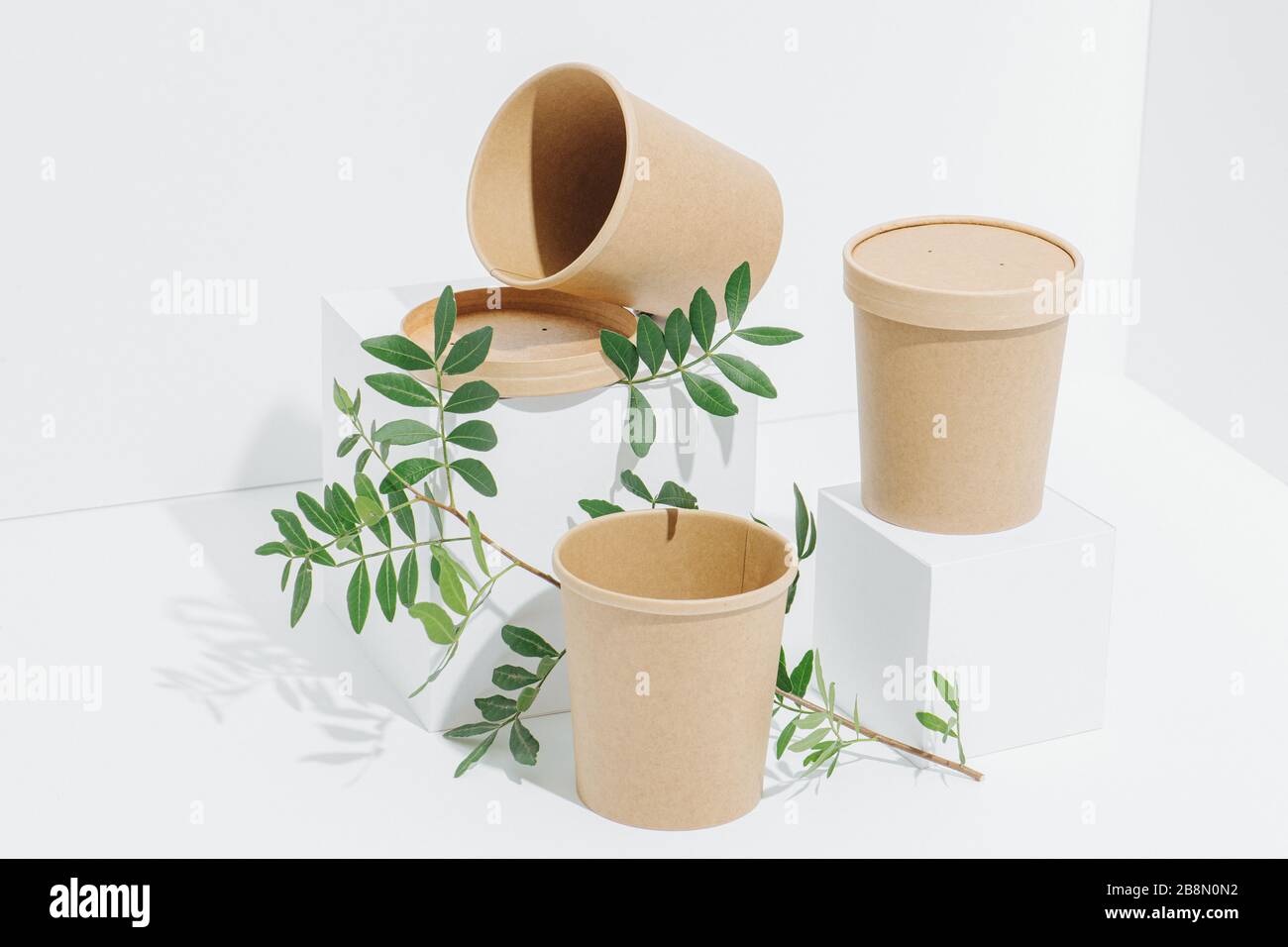 Pots en bambou jetables et recyclables sans plastique sur fond blanc Banque D'Images