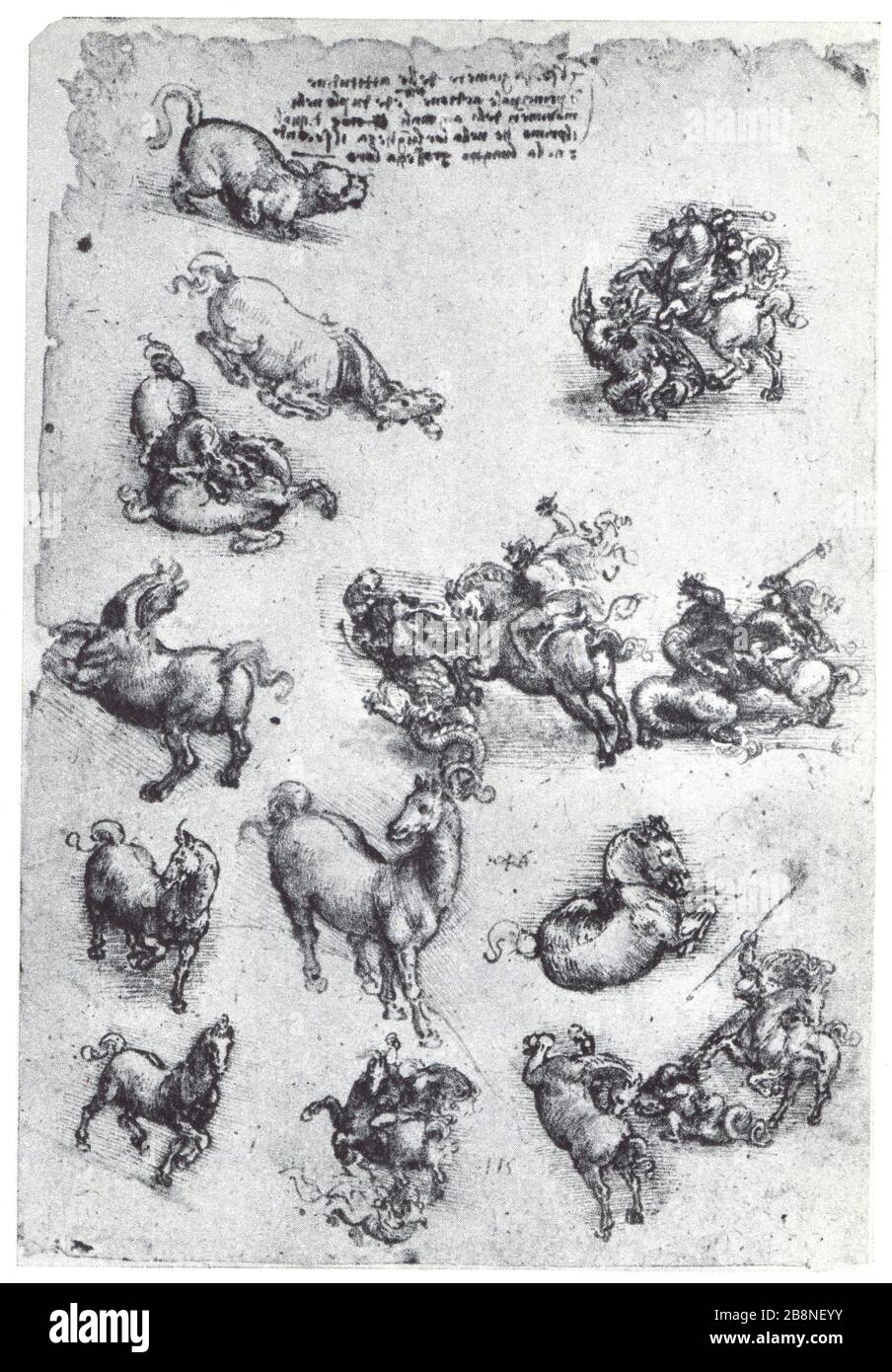 Léonard de Vinci. Etudes pour un St Georges et le Dragon. 1507-1508. Banque D'Images