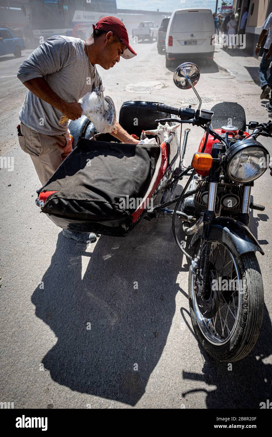 Homme avec poulets et chèvres en side-car, la Havane, Cuba Banque D'Images
