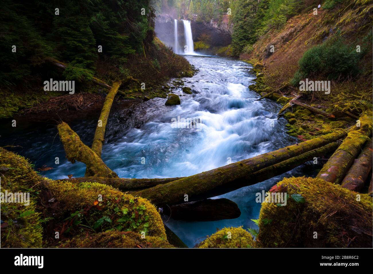 Chute d'eau dans l'Oregon aux chutes de Koosah Banque D'Images