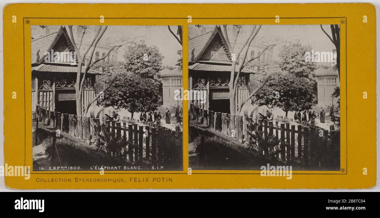 14. EXPOON 1900. ÉLÉPHANT BLANC. S.I.P. Exposition universelle de 1900. L'éléphant blanc (place du Trocadéro, Section Indo-Chine), 16ème arrondissement, Paris. Exposition universelle de 1900. L'éléphant blanc (place du Trocadéro, section Indo-Chine), Paris (XVIème arr.). Société industrielle de Photographie ou S.I.P. Rage sur papier au gélatino bromore d'argent contenu sur carton jaunisse. Paris, musée Carnavalet. Banque D'Images