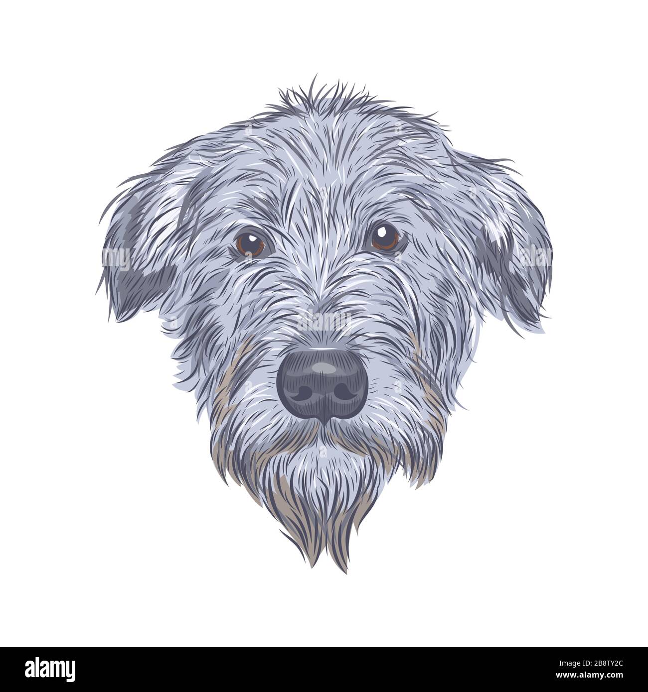 Esquisse de vecteur de visage Wolfhound. Illustration de Vecteur