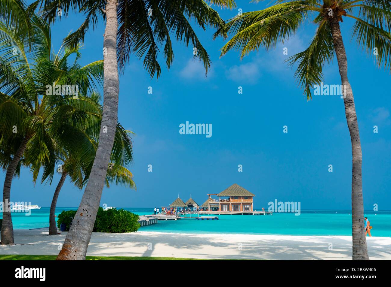 Plage de sable de l'île tropicale aux Maldives Banque D'Images