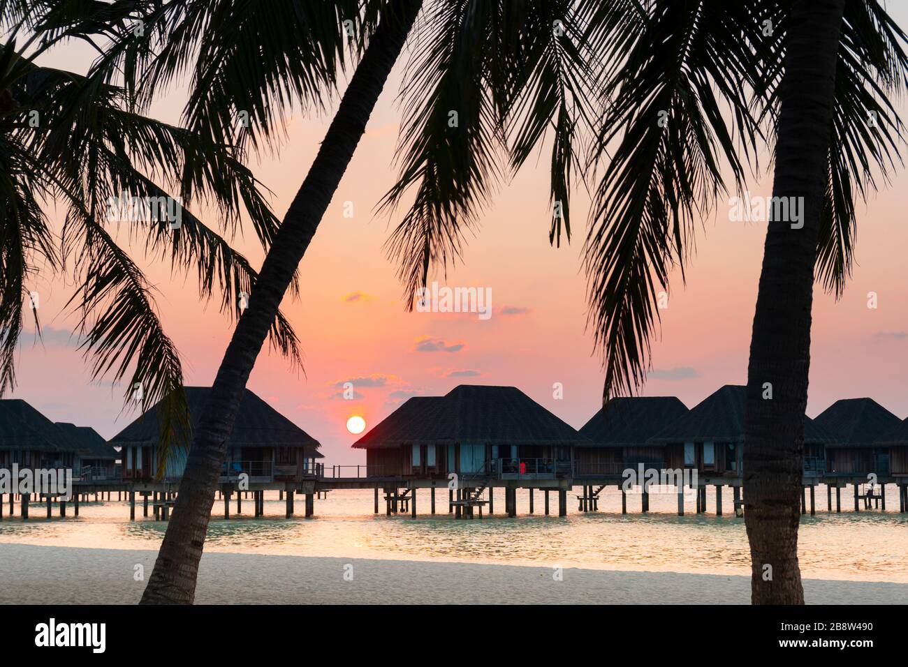 Plage de sable au coucher du soleil de l'île tropicale aux Maldives Banque D'Images