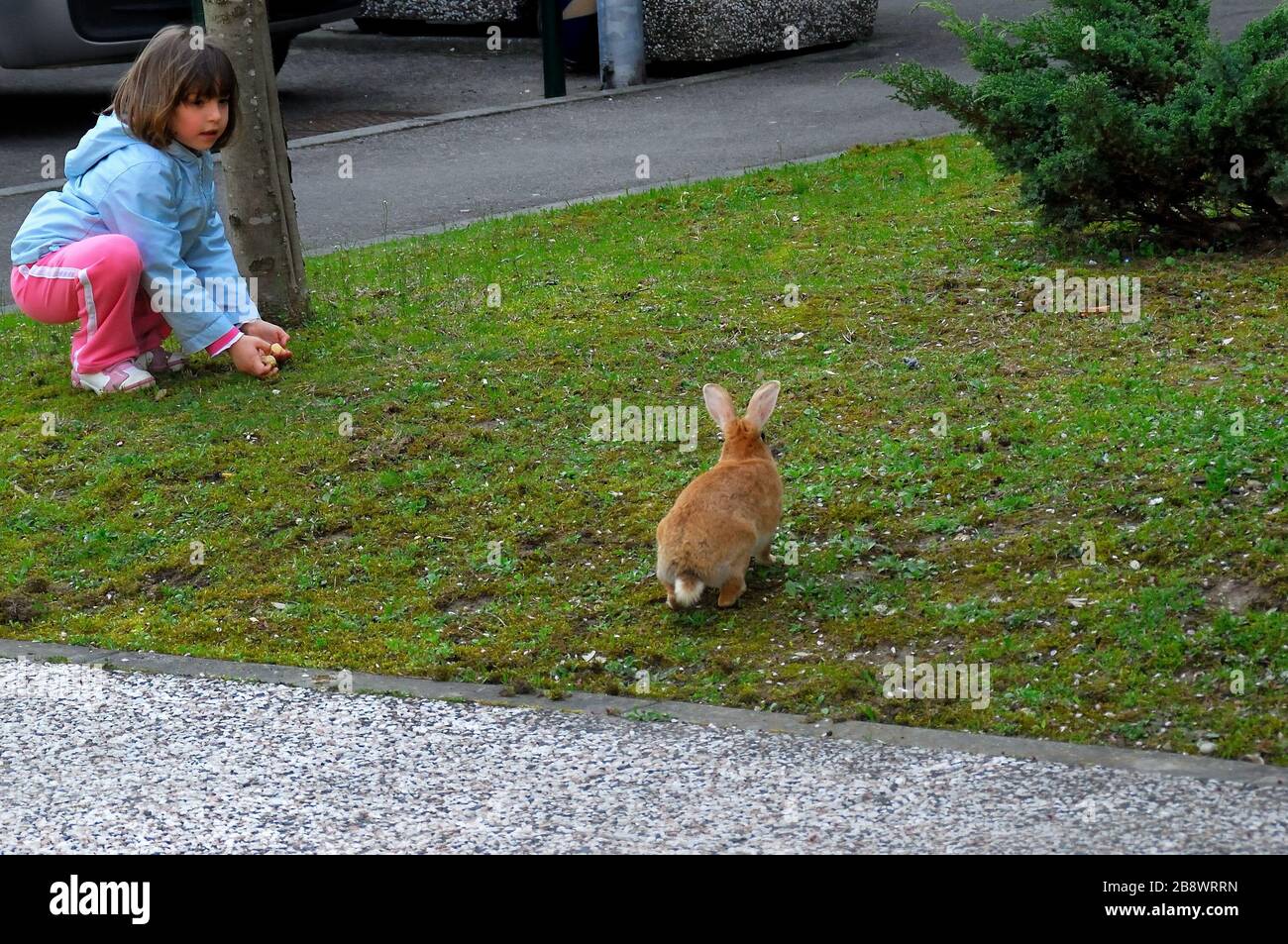 Un enfant joue avec le lapin dans les jardins publics de Padoue Banque D'Images