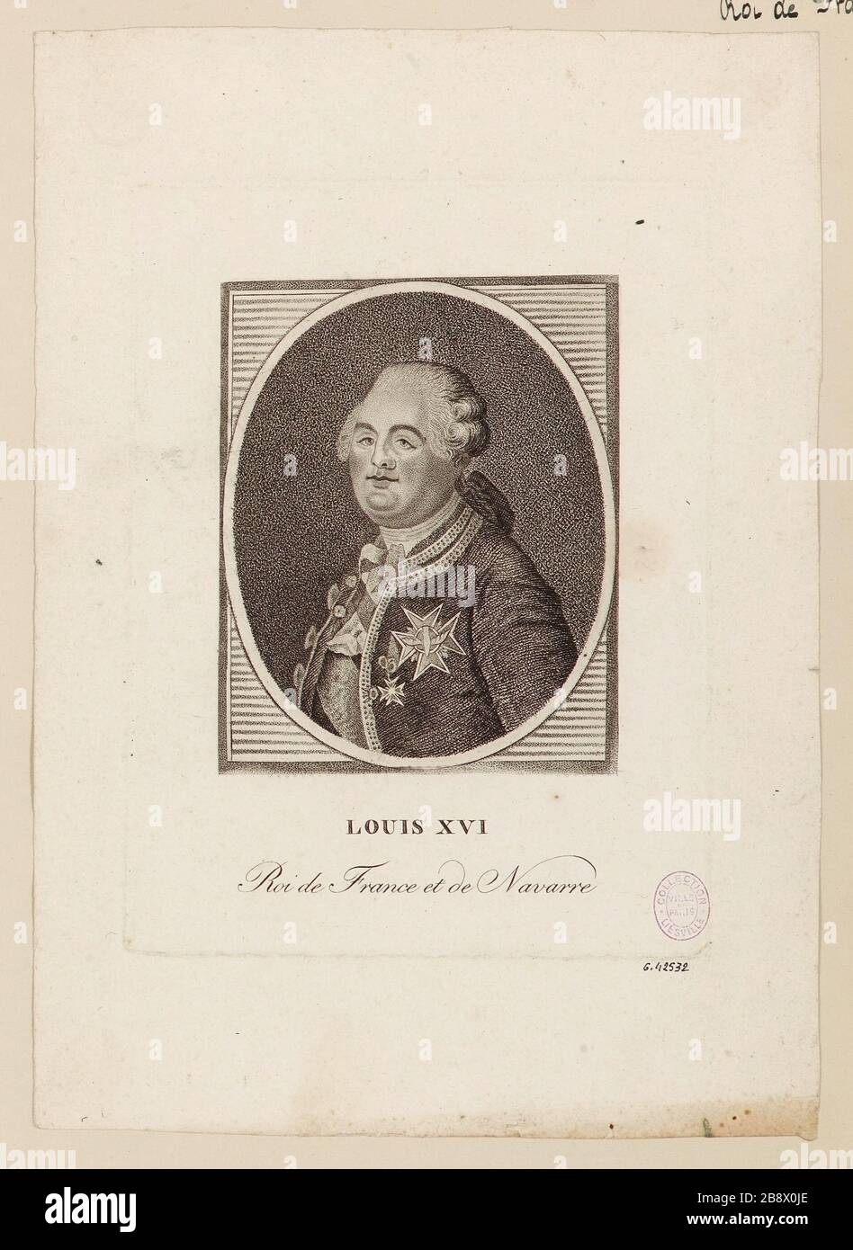 Louis XVI / Roi de France et Navarre Banque D'Images