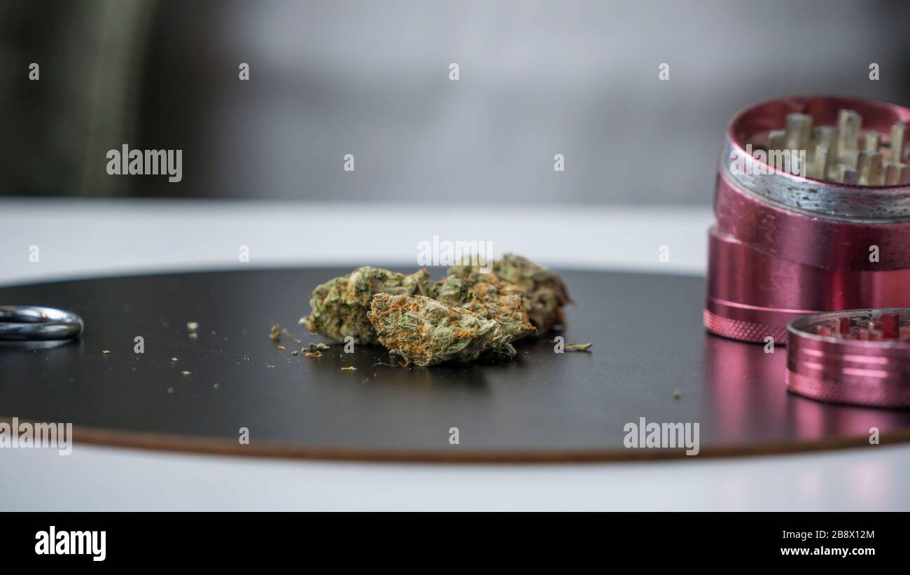 Gros plan sur les bourgeons et le moulin à marijuana à usage médical. Le cannabis est un concept de phytothérapie ou de médecine alternative Banque D'Images