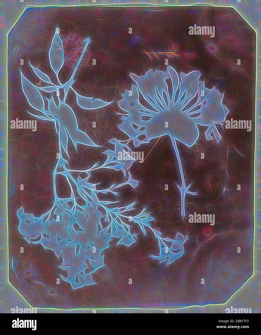 Deux spécimens de plantes, 1839, William Henry Fox Talbot, anglais, 1800–1877, Angleterre, dessin photogénique, 22,1 × 18 cm (8 11/16 × 7 1/8 in., image/papier), 29 × 21,5 cm (montage), repensé par Gibon, conception de la glanissement gai gai chaud de la luminosité et des rayons de lumière. L'art classique réinventé avec une touche moderne. La photographie inspirée du futurisme, qui embrasse l'énergie dynamique de la technologie moderne, du mouvement, de la vitesse et révolutionne la culture. Photo Stock