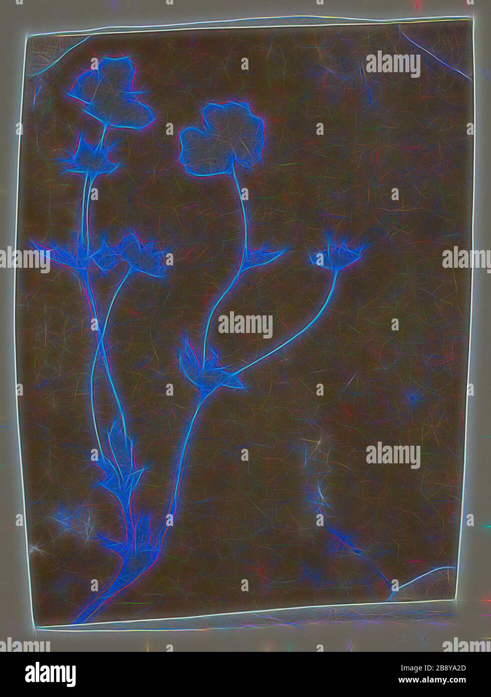 Tige de feuilles et de fleurs, c. 1835/37, William Henry Fox Talbot, anglais, 1800–1877, Angleterre, dessin photogénique, stabilisé (fixe) dans l'iodure de potassium, le bromure de potassium ou l'eau d'ammoniaque, 11,3 × 8,5 cm (image/papier), réinventé par Gibon, conception d'un brillant chaud et gai de luminosité et de rayons de lumière. L'art classique réinventé avec une touche moderne. La photographie inspirée du futurisme, qui embrasse l'énergie dynamique de la technologie moderne, du mouvement, de la vitesse et révolutionne la culture. Banque D'Images