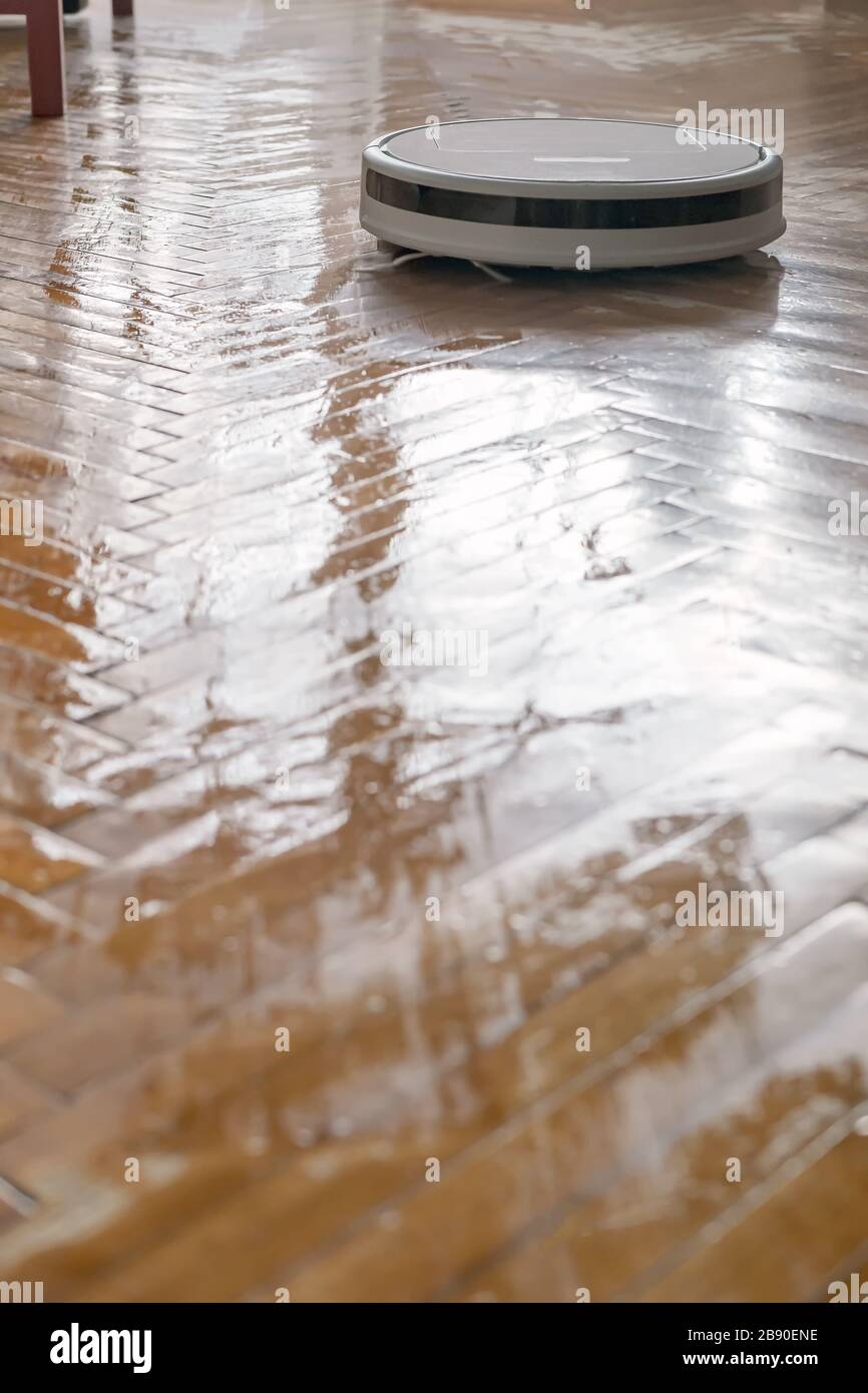 Le robot-aspirateur lave-linge fait un nettoyage humide d'un parquet. Aide indispensable dans le ménage. Banque D'Images
