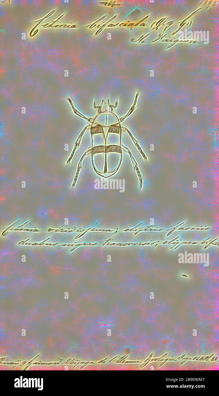 Lomaptera, Print, Lomaptera sont des coléoptères de la sous-famille Cetoniinae, tribu Schizorhinini. Le genre a été créé par Gory &amp, Percheron, en 1833. L'espèce type du genre est Cetonia papouasie-Guérin-Méneville, 1830. Ces cétonidés ont la pointe du scutellum invisible, ce qui fait la différence avec le genre Ishiopsopha., repensé par Gibon, la conception de glanissement chaud et gai de la luminosité et des rayons de lumière radiance. L'art classique réinventé avec une touche moderne. La photographie inspirée du futurisme, qui embrasse l'énergie dynamique de la technologie moderne, du mouvement, de la vitesse et révolutionne la culture. Banque D'Images