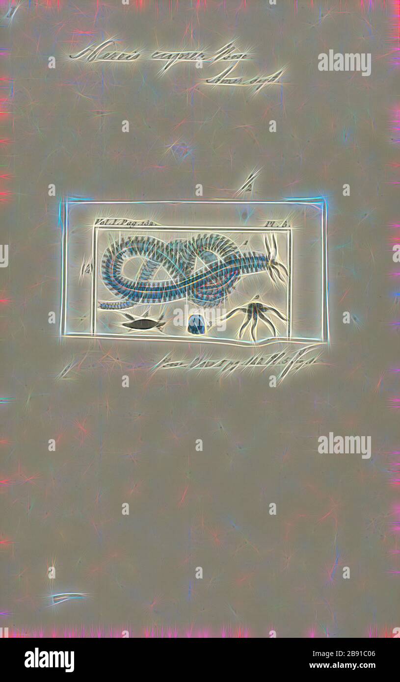 Nereis cuprea, Imprimer, Nereis est un genre de vers polychètes dans la famille Nereididae. Il comprend de nombreuses espèces, dont la plupart sont marines. Nereis possèdent des soies et parapodes de locomotion. Ils peuvent avoir deux types de soies, qui se trouvent sur le parapodes. Soies aciculaires fournir un soutien. Soies locomotrice sont pour ramper, et sont les poils qui sont visibles sur l'extérieur de l'Polychètes. Ils sont de forme cylindrique, trouvée non seulement dans les zones sablonneuses, et elles sont adaptées aux terrier. Souvent, ils s'accrochent à des herbiers de posidonies (herbe) ou autres sur les roches et parfois se rassembler dans de grands groupes. Ils Banque D'Images