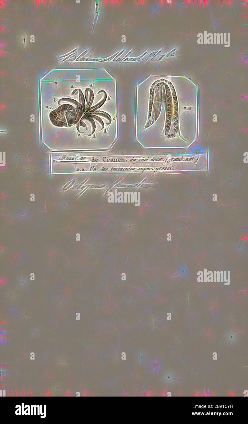 Octopus cranchii, Print, l'Octopus est un mollusque à huit couches de l'ordre Octopoda. Environ 300 espèces sont reconnues, et l'ordre est groupé dans la classe Céphalopoda avec des calmars, des seiches et des nautiloïdes. Comme les autres céphalopodes, l'Octopus est bilatéralement symétrique avec deux yeux et un bec, avec sa bouche au point central des huit membres (le tentacle est utilisé comme terme parapluie pour les membres du céphalopodes, toutefois, dans un contexte théologique, le bras est utilisé pour désigner de tels membres alors que le tentacle est réservé aux appendices alimentaires non trouvés sur les octofuses). Le corps souple peut r Banque D'Images