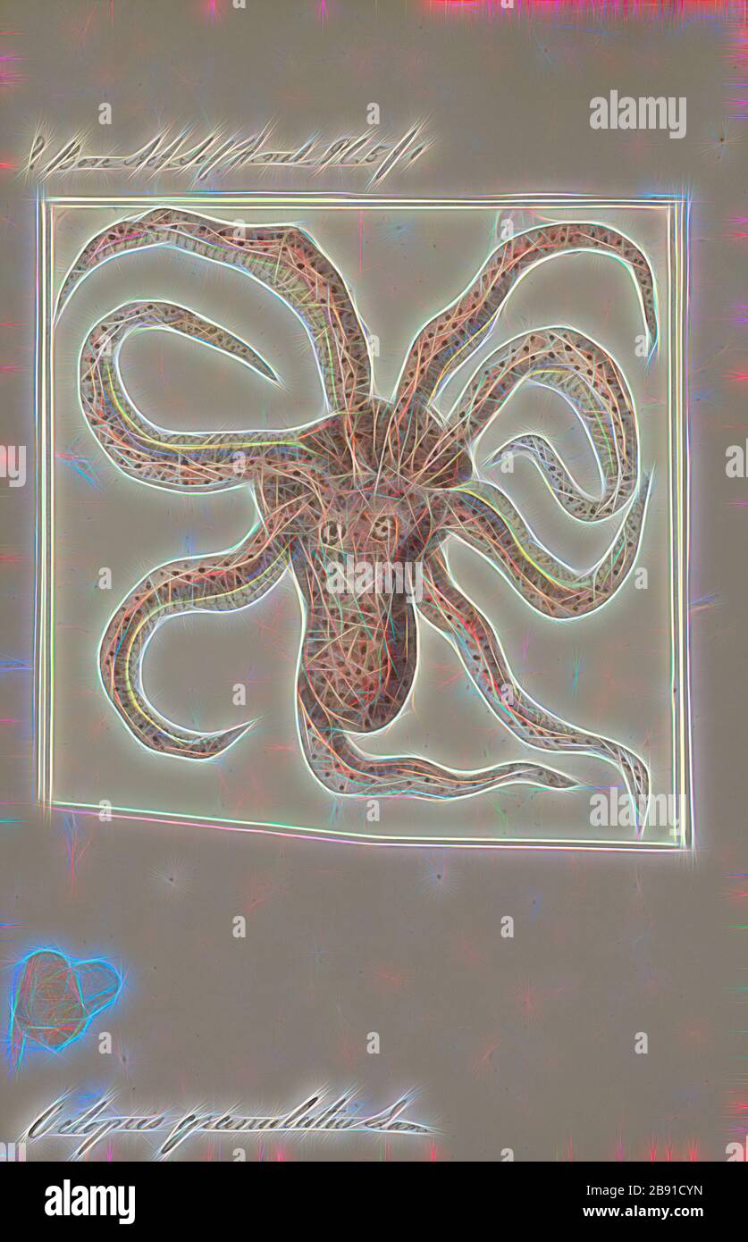 Octopus granulatus, Print, l'Octopus est un mollusque corsé et à huit couches de l'ordre Octopoda. Environ 300 espèces sont reconnues, et l'ordre est groupé dans la classe Céphalopoda avec des calmars, des seiches et des nautiloïdes. Comme les autres céphalopodes, l'Octopus est bilatéralement symétrique avec deux yeux et un bec, avec sa bouche au point central des huit membres (le tentacle est utilisé comme terme parapluie pour les membres du céphalopodes, toutefois, dans un contexte théologique, le bras est utilisé pour désigner de tels membres alors que le tentacle est réservé aux appendices alimentaires non trouvés sur les octofuses). Le corps souple peut Banque D'Images