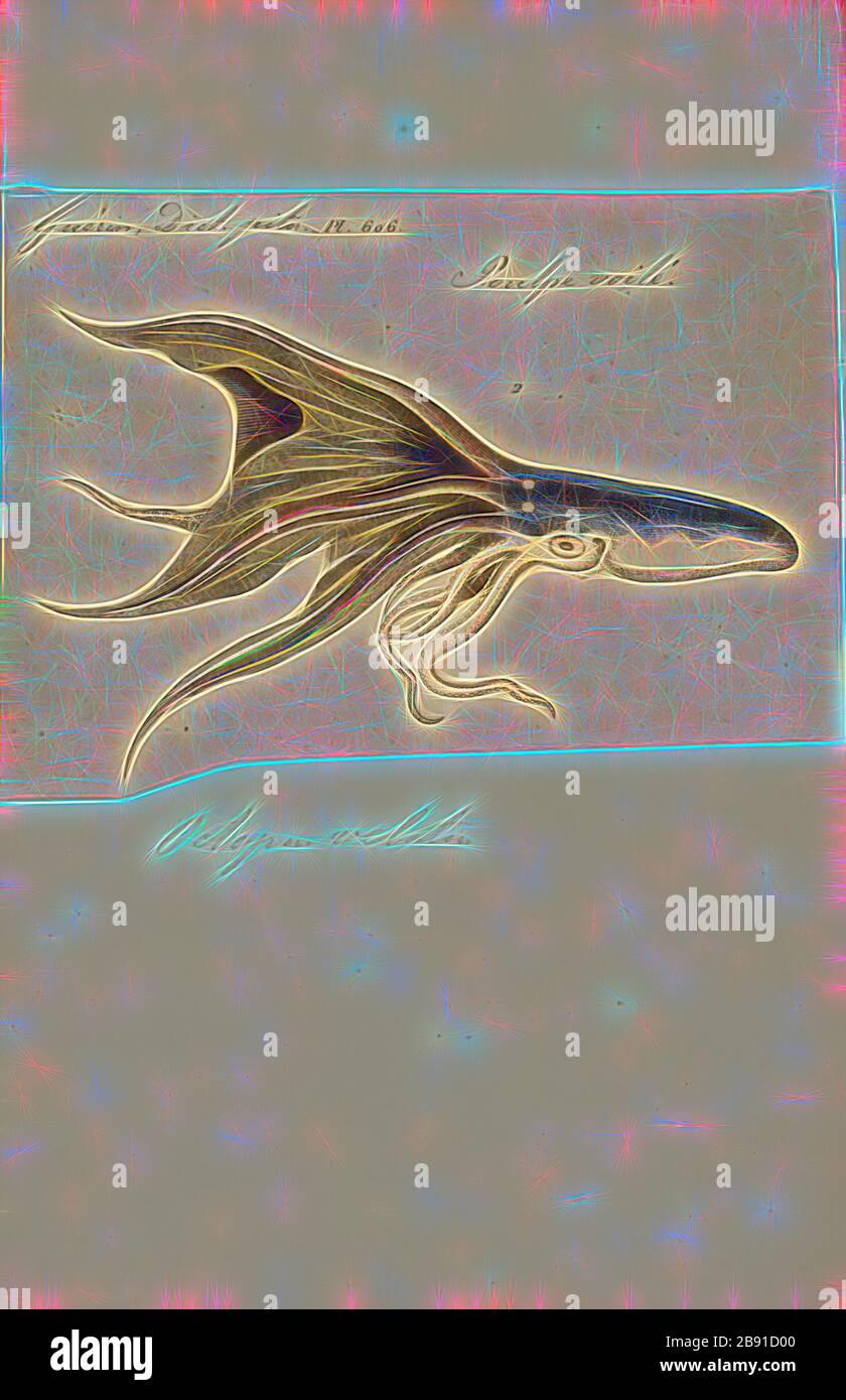 Octopus velatus, Print, l'Octopus est un mollusque corsé et à huit couches de l'ordre Octopoda. Environ 300 espèces sont reconnues, et l'ordre est groupé dans la classe Céphalopoda avec des calmars, des seiches et des nautiloïdes. Comme les autres céphalopodes, l'Octopus est bilatéralement symétrique avec deux yeux et un bec, avec sa bouche au point central des huit membres (le tentacle est utilisé comme terme parapluie pour les membres du céphalopodes, toutefois, dans un contexte théologique, le bras est utilisé pour désigner de tels membres alors que le tentacle est réservé aux appendices alimentaires non trouvés sur les octofuses). Le corps souple peut se ra Banque D'Images