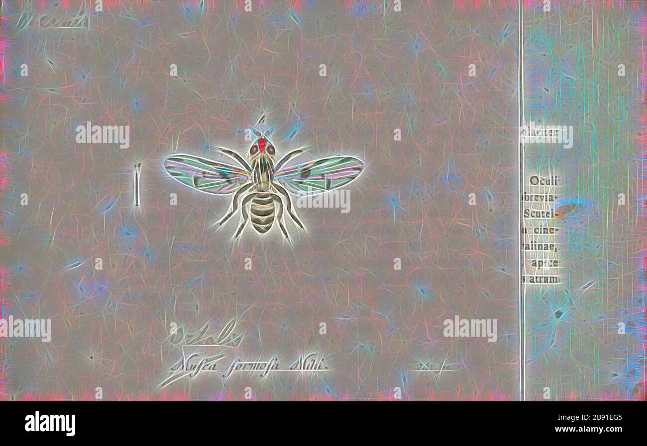 Ortalis, Imprimer, Chachalacas sont galliform les oiseaux du genre Ortalis. Ces oiseaux se trouvent dans des habitats boisés dans l'extrême sud des États-Unis (Texas), le Mexique et l'Amérique centrale et du Sud. Ils sont d'ordre social, peut être très bruyant et souvent restent assez courante, même près de l'homme, que leur petite taille les rend moins souhaitable de chasseurs que de leurs grands parents. Comme la lutte contre les ravageurs, ils ont un appétit vorace pour les tomates, melons, haricots, et les radis et peuvent ravager un petit jardin dans l'ordre court. Ils voyagent en boîtes de six à douze. Ils ressemblent quelque peu les guans, et les deux ha Banque D'Images