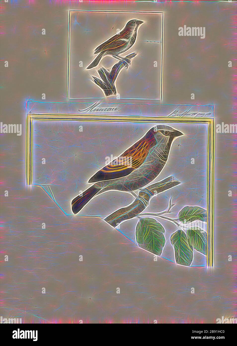 Passer domesticus, Imprimer, le moineau domestique (Passer domesticus) est un oiseau de la famille Passeridae, trouvés dans la plupart des régions du monde. C'est un petit oiseau qui a une longueur de 16 cm (6.3 in) et une masse de 24-39,5 g (0,85 oz) de 1,39. Les femelles et les jeunes oiseaux sont de couleur brun pâle et gris, et les hommes sont plus lumineux, blanc, noir et marron. L'un des quelque 25 espèces du genre passer, le moineau domestique est originaire d'une grande partie de l'Europe, le bassin méditerranéen, et une grande partie de l'Asie. L'introduction intentionnelle ou accidentelle à de nombreuses régions, y compris certaines parties de l'Australasie, Afr Banque D'Images
