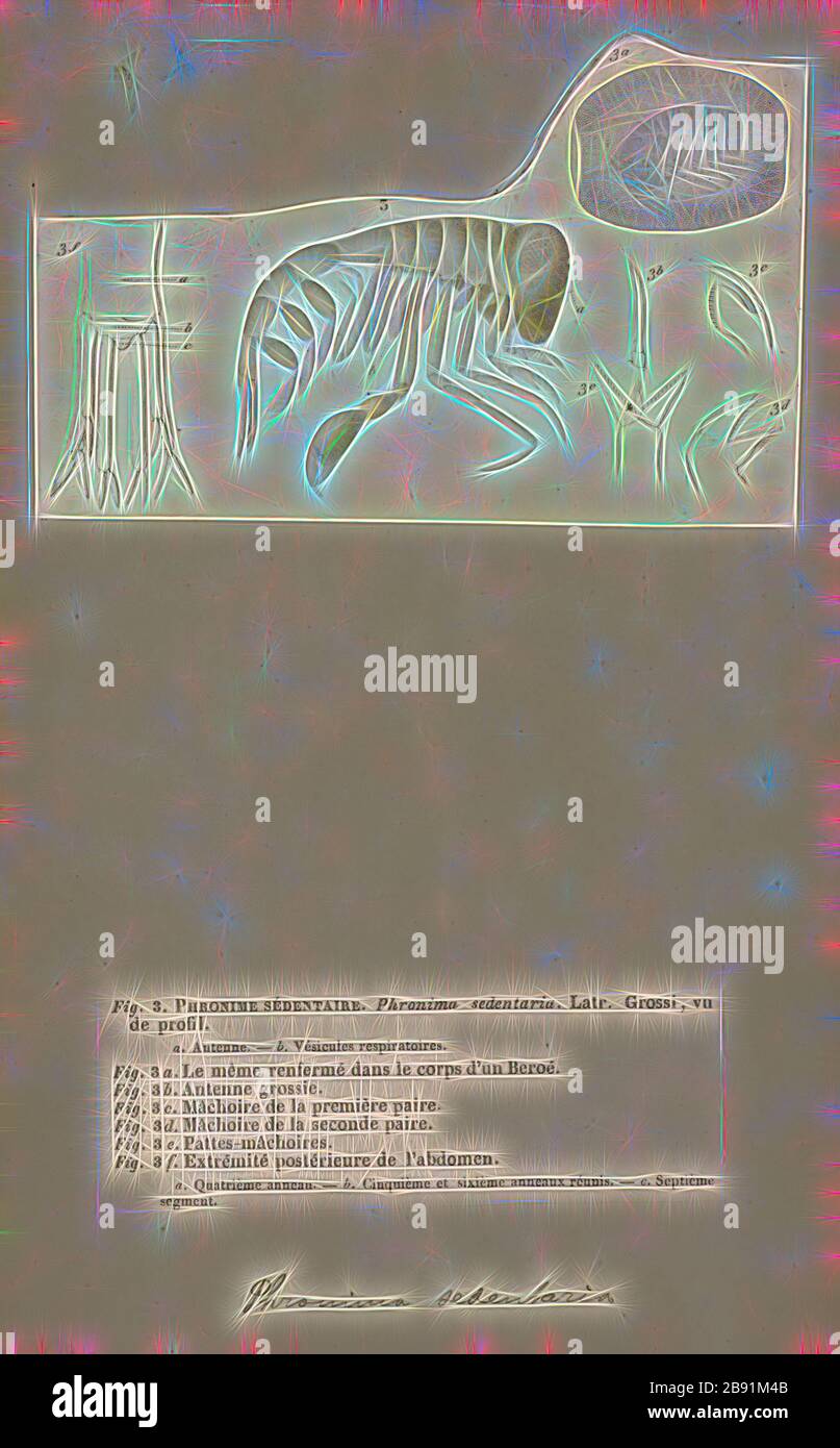 Phronima sedentaria, Print, Phronima sedentaria est une espèce de crustacés d'amphipodes trouvés dans les océans à une profondeur pouvant atteindre 1 km (0,6 mi)., repensée par Gibon, conception d'un brillant chaleureux de luminosité et de rayons de lumière radiance. L'art classique réinventé avec une touche moderne. La photographie inspirée du futurisme, qui embrasse l'énergie dynamique de la technologie moderne, du mouvement, de la vitesse et révolutionne la culture. Banque D'Images