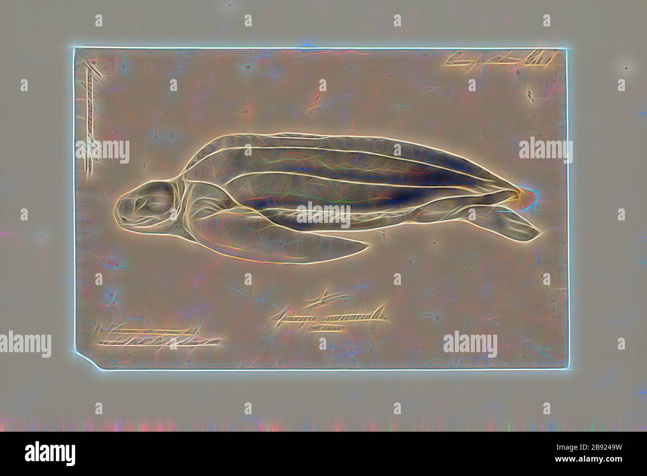 Sphargis coriacea, Print, la tortue luth (Dermochelys coriacea), parfois appelée la tortue luth ou la tortue lathérienne ou tout simplement la luth, est la plus grande de toutes les tortues vivantes et est la quatrième tuile moderne de la région derrière trois codiliens. C'est la seule espèce vivante du genre Dermochelys et de la famille Dermochelyidae. Il peut facilement être différencié des autres tortues de mer modernes par son manque de coquille osseuse, d'où le nom. Au lieu de cela, sa carapace est couverte par la peau et la chair huileuse., 1833-1850, réinventée par Gibon, conception de gai gai chaleureux de luminosité et de rayons de lumière radia Banque D'Images