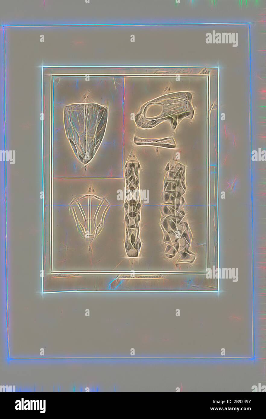 Sphargis mercurialis, Print, la tortue luth (Dermochelys coriacea), parfois appelée la tortue luth ou la tortue lathérienne ou tout simplement la luth, est la plus grande de toutes les tortues vivantes et est la quatrième tuile moderne de la région derrière trois crocodiles. C'est la seule espèce vivante du genre Dermochelys et de la famille Dermochelyidae. Il peut facilement être différencié des autres tortues de mer modernes par son manque de coquille osseuse, d'où le nom. Au lieu de cela, sa carapace est couverte par la peau et la chair huileuse., crâne et vertèbre, réimaginée par Gibon, conception de gaie chaleureuse de luminosité et de lig Banque D'Images