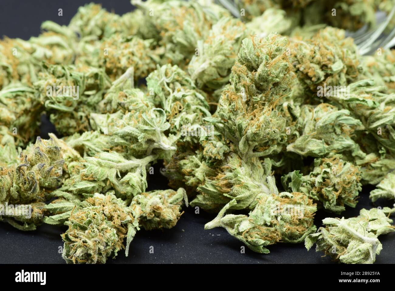 Extrême gros plan de grande quantité dense marijuana verte avec de beaux trichomes Banque D'Images